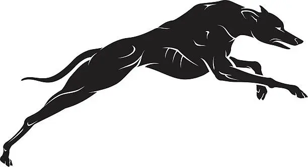 Vector illustration of Greyhound Dog Silhouette