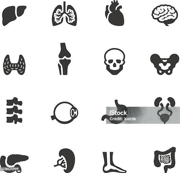 Soulico Icons Human Internal Organ Stock Illustration - Download Image Now - Icon Symbol, Joint - Body Part, Abdomen
