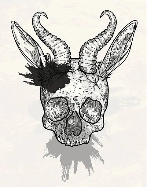 Vector illustration of Horned Skull