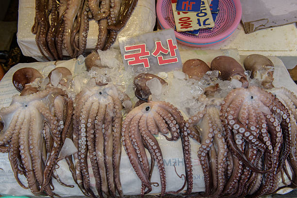 istock Octopus sold on Busan fish market 518625752