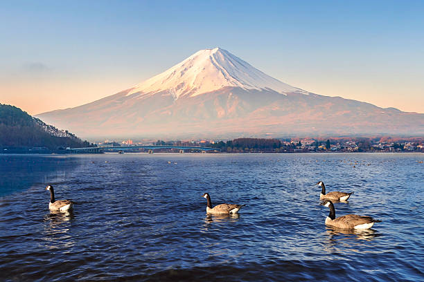 istock Mt Fuji in the early morning 518625879