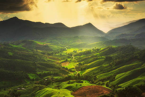 istock landscape with green corn field, forest, mountains 518626475