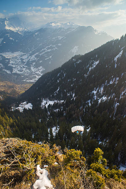 na borda - treelined forest at the edge of scenics - fotografias e filmes do acervo