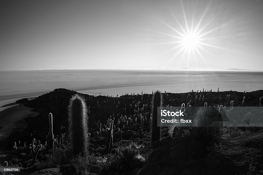 Black & white, sun star over Uyuni Salt Flat, Bolivia The sun star at the horizon over the majestic Uyuni Salt Flat, among the most important travel destination in Bolivia. Wide angle shot in backlight from the Incahuasi Island with glowing rocks and cactus. Black and white converted. Above Stock Photo