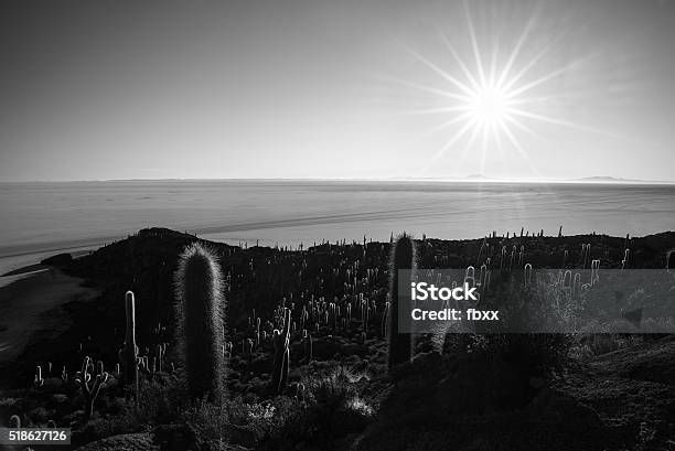 Black White Sun Star Over Uyuni Salt Flat Bolivia Stock Photo - Download Image Now