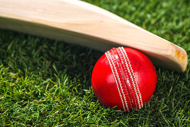 istock Cricket ball and bat sitting in the grass 518627486