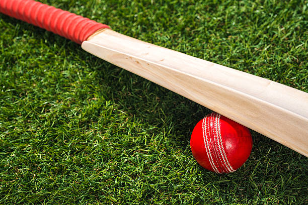 istock Cricket ball and bat sitting in the grass 518627552