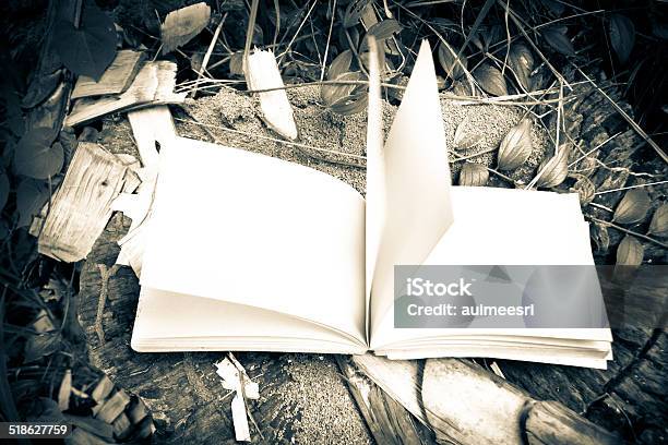 Diary On Tree Stock Photo - Download Image Now - Autumn, Book, Book Cover