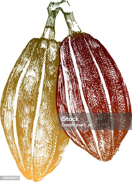 Hand Drawn Cocoa Beans Stock Illustration - Download Image Now - Bean, Brown, Candy