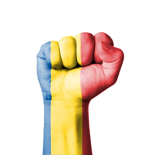 istock Fist of Chad flag painted 518628023