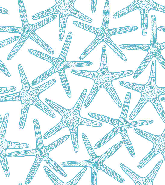 illustrazioni stock, clip art, cartoni animati e icone di tendenza di vettoriale senza giunte sfondo con stelle marine - starfish