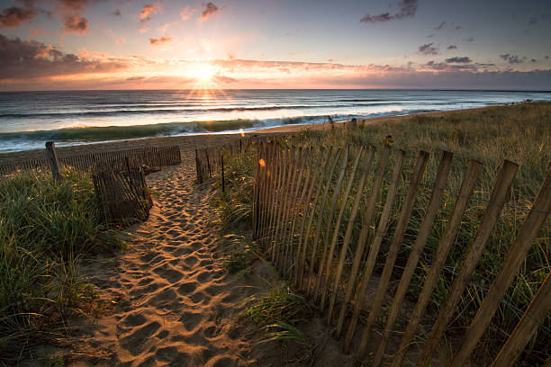 istock The Dunes at Dawn 518628823