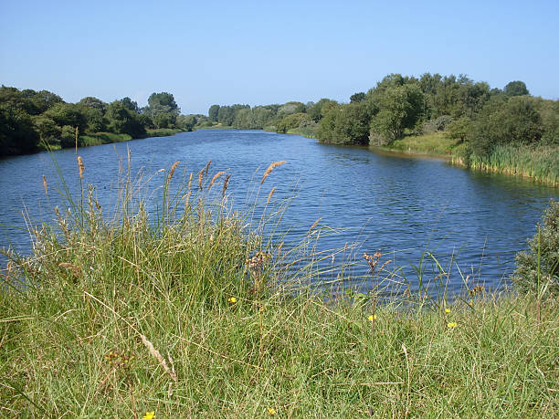 istock River in the dune area in Holland 518639971