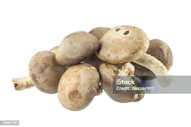 Shiitake Mushroom On White Background Stock Photo - Download Image Now - Agriculture, Cut Out, Edible Mushroom