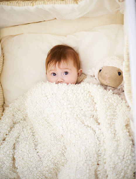 istock Afternoon naps are an art form 518641337