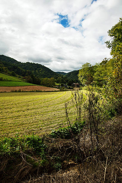 istock Agriculture Field North Carolina 518643997