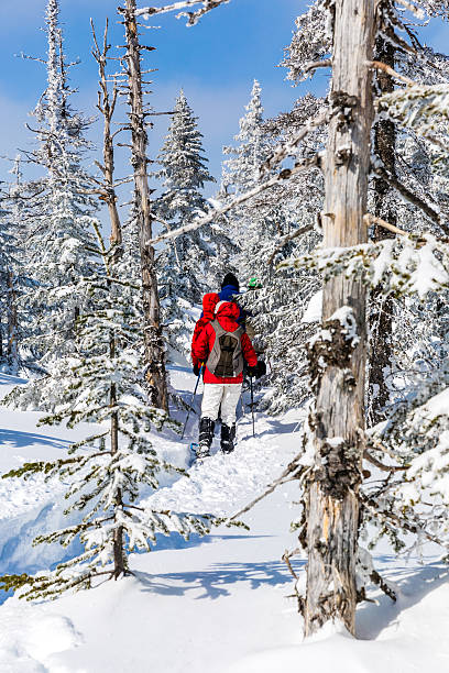 femme marche en raquettes dans le paysage de forêt d'hiver - winter snowshoeing running snowshoe photos et images de collection