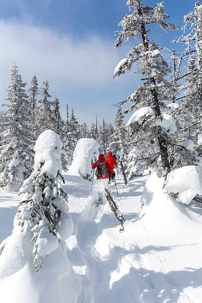 groupe de personnes de la marche en raquettes dans la forêt d'hiver - winter snowshoeing running snowshoe photos et images de collection