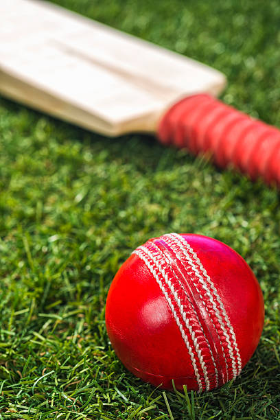 istock Red Cricket ball and bat sitting in grass sitting 518648144