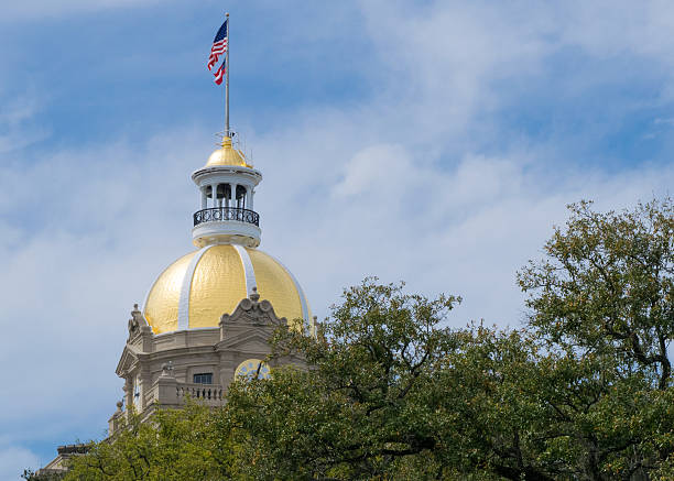 istock Gold Dome City Hall - Savannah, Georiga 518648648