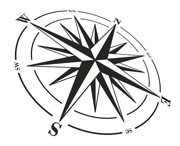 Compass rose isolated on white. Compass rose isolated on white. Vector illustration.  compass rose stock illustrations