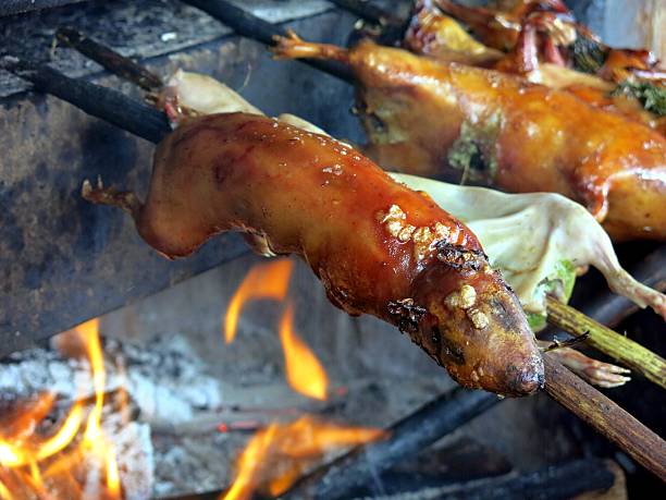 A traditional peruvian food: The guinea pig or cuy can be served in many different ways. Normally, they are eaten fried but this one is stuffed with herbs and grilled. The meet peels off in layers and the taste is dominated by the herbs. 
