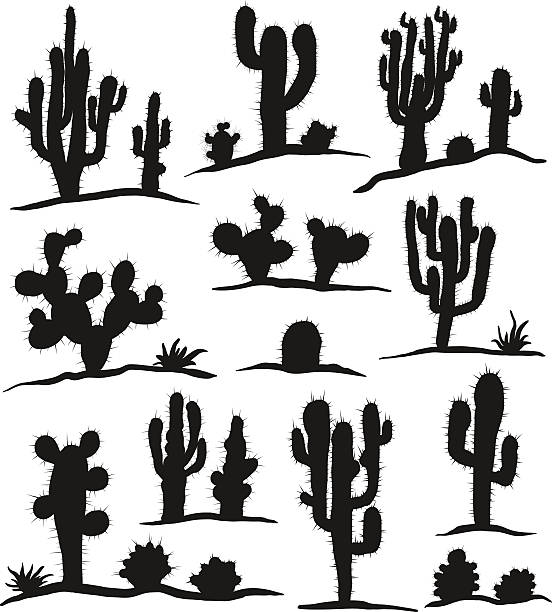 2,952 Cactus Silhouette Illustrations & Clip Art - iStock | Cactus  silhouette vector