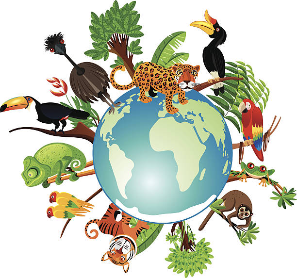 tropische welt - tropical rainforest animal cartoon lion stock-grafiken, -clipart, -cartoons und -symbole