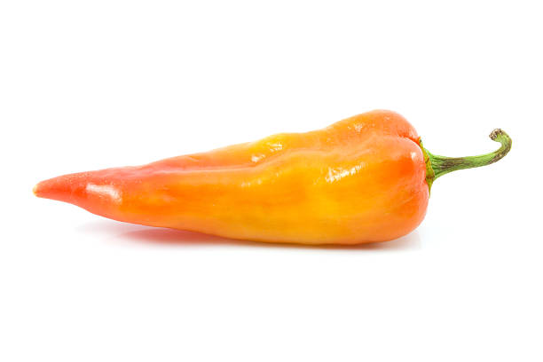 istock Bell pepper or sweet pepper 518656203