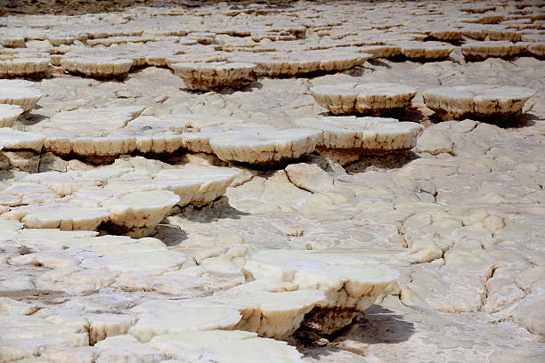 Soil of Dallol rising 50-60 ms.over salt flats. Danakil-Ethiopia. 0311 Soil of Dallol mount rising over the surrounding flats of Lake Karum or Assale. Colored deposits of sylvite -KCL- carnallite -KMGCL3.6(H2O)- and kainite -KMG(SO4)CL.3H20. Danakil-Afar region-Ethiopia. dallol ethiopia stock pictures, royalty-free photos & images
