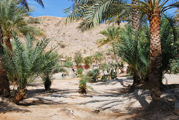 wadi bani khalid, d'ash sharqiyah région, oman - sharqiyah photos et images de collection