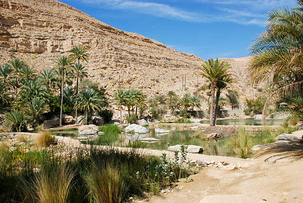 istock Wadi Bani Khalid, Ash Sharqiyah region, Oman 518658910