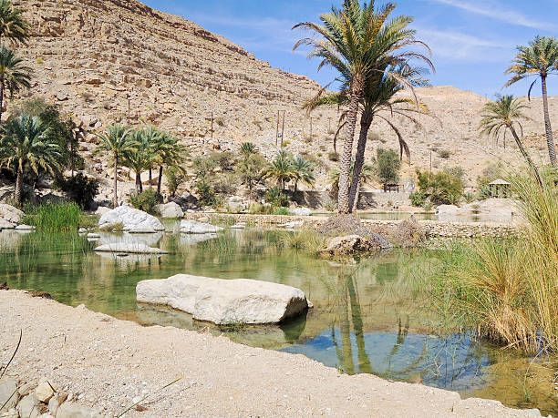 wadi bani khalid, d'ash sharqiyah région, oman - sharqiyah photos et images de collection