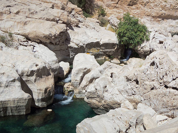 wadi bani khalid, d'ash sharqiyah région, oman - sharqiyah photos et images de collection