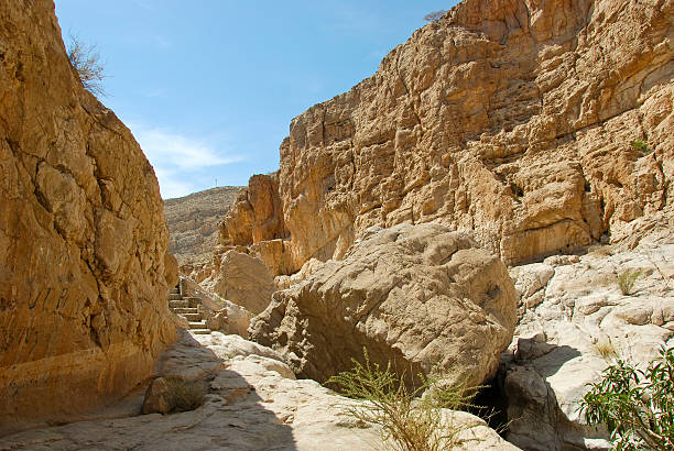 wadi bani khalid, d'ash sharqiyah région, oman - sharqiyah photos et images de collection