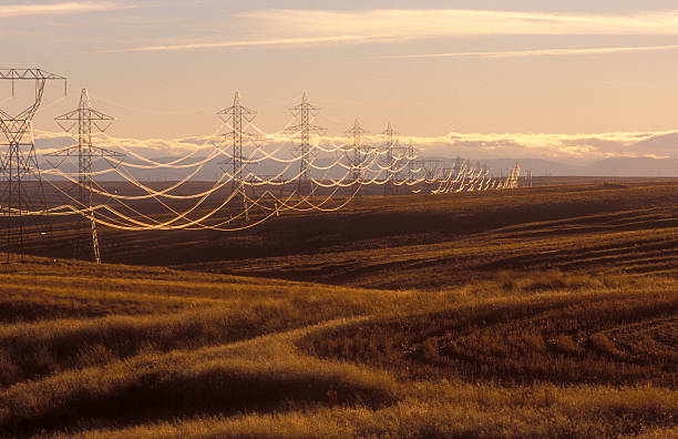 электрические мощность линии и башни в холмы - sending power supply power fuel and power generation стоковые фото и изображения