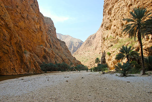 istock Wadi Shab with emerald green water 518659916