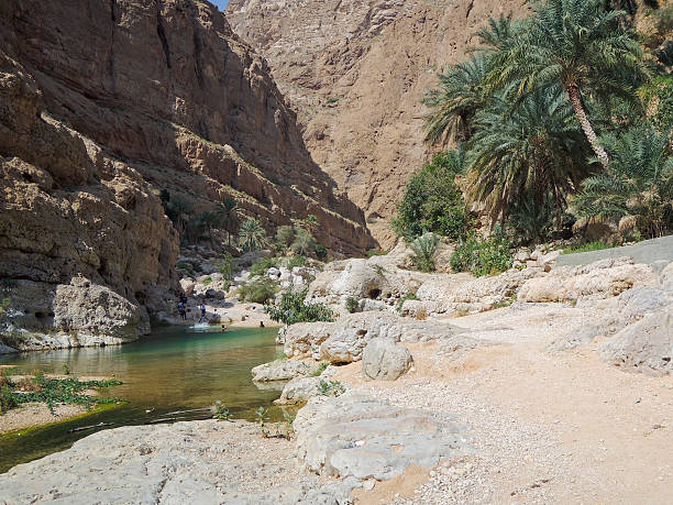 istock Wadi Shab with emerald green water 518660028