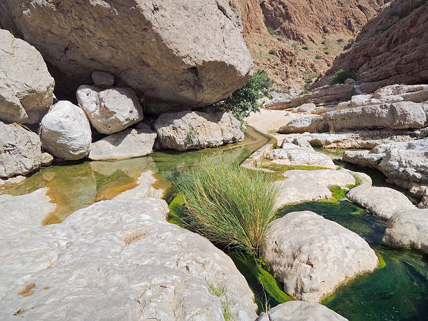 istock Wadi Shab with emerald green water 518660324
