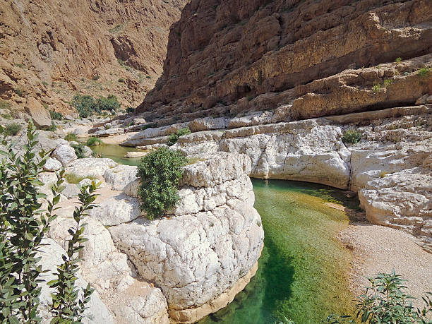 istock Wadi Shab with emerald green water 518660394