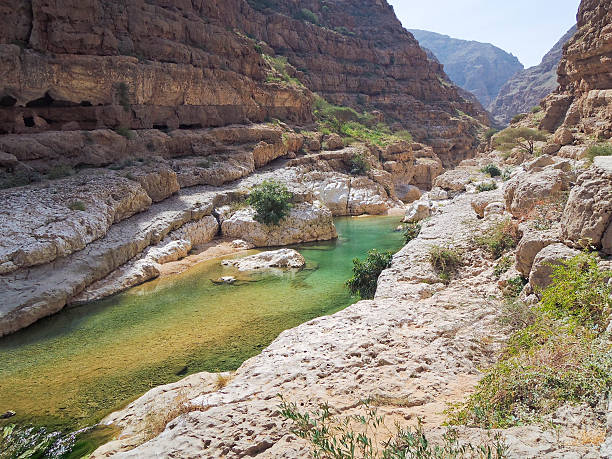 istock Wadi Shab with emerald green water 518660434