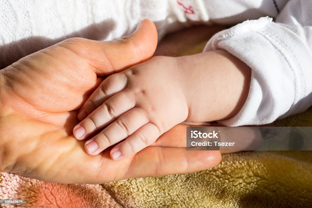 Adult holding baby hand, white background Child Stock Photo