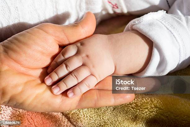 Adult Holding Baby Hand White Background Stock Photo - Download Image Now - Child, Senior Adult, Adult