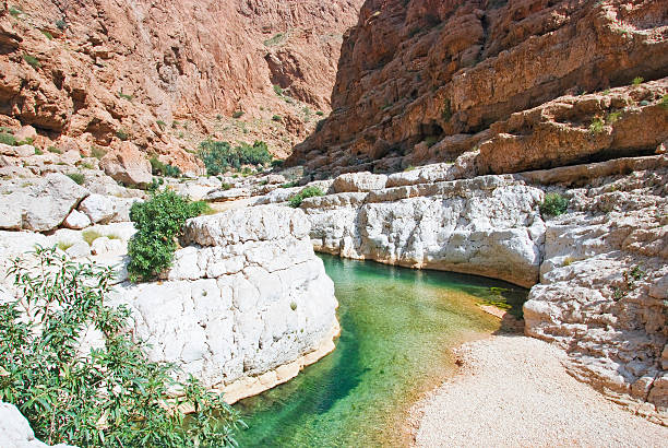 istock Wadi Shab with emerald green water 518660828