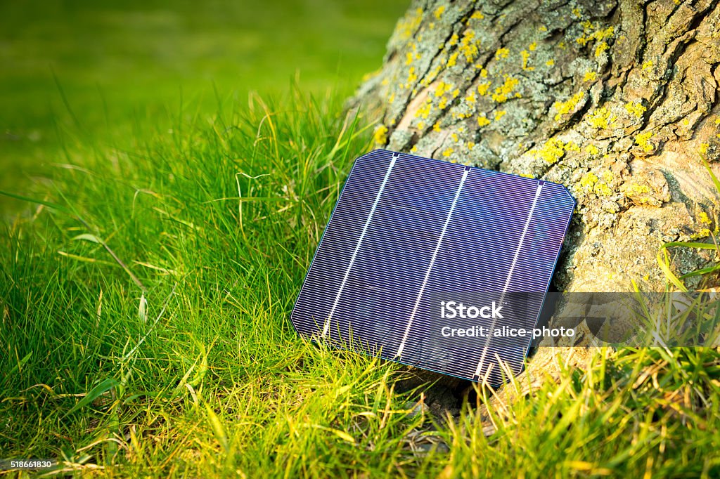 Green energy, Photovoltaic Solar Cell with hand Green energy, Photovoltaic Solar Cell with handGreen energy, Photovoltaic Solar Cell with hand SONY A7 24 mp. Battery Stock Photo