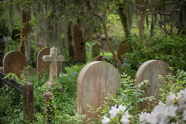 Photo of Cemetery in Charleston, SC