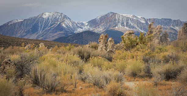 istock Mono Lake in Autumn 518663924