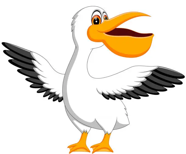 Vector illustration of cute pelican