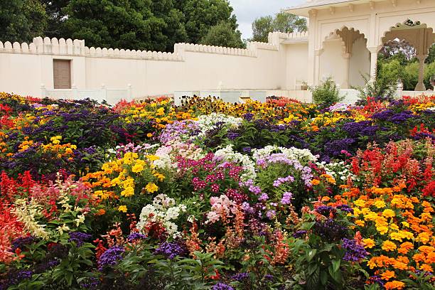 Planted colourful flowers in an Indian style garden. (Hamilton Gardens, New Zealand)