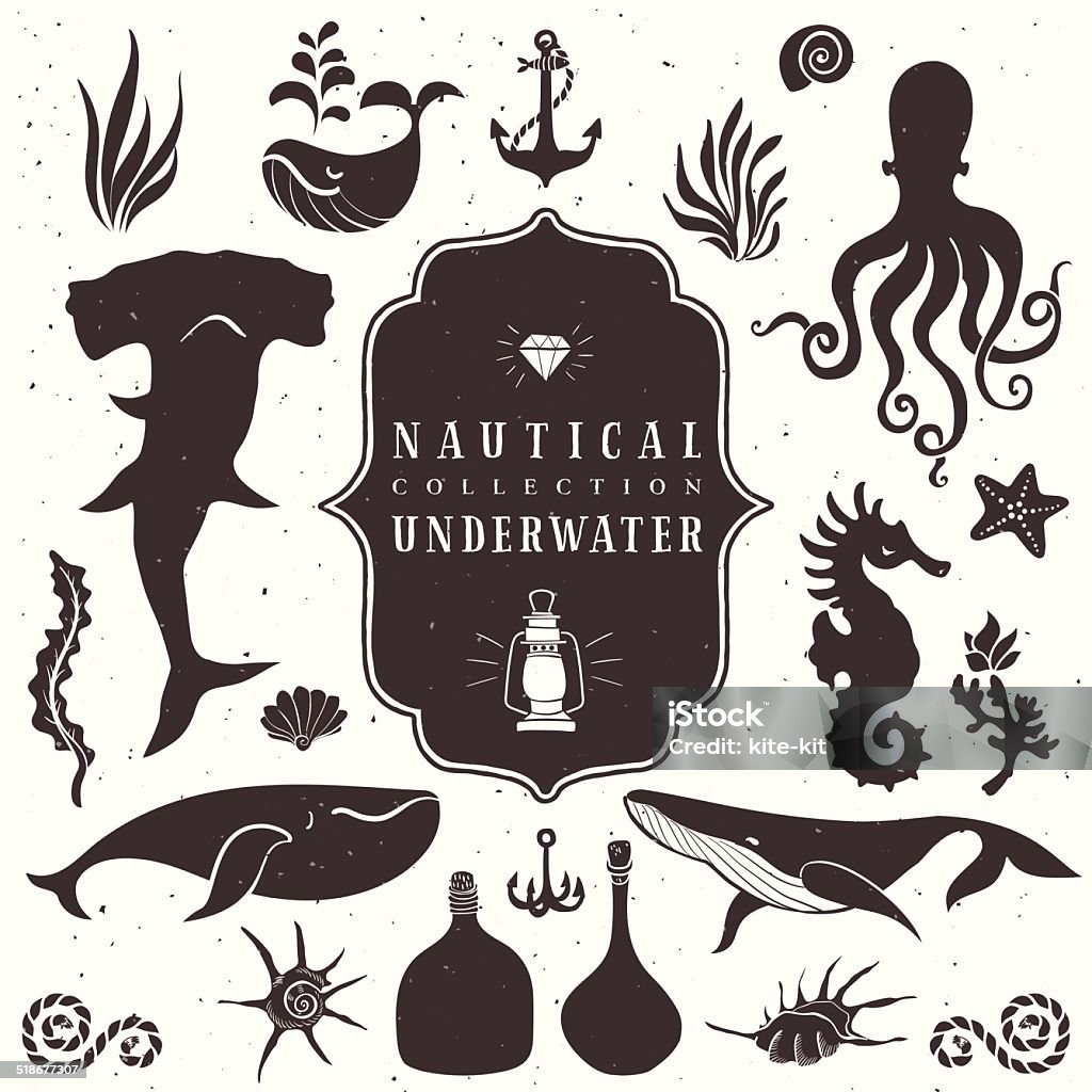 Sea life, marine animals. Vintage hand drawn elements in nautical style.Vol.2 Vector illustrations on white background. Kraken stock vector